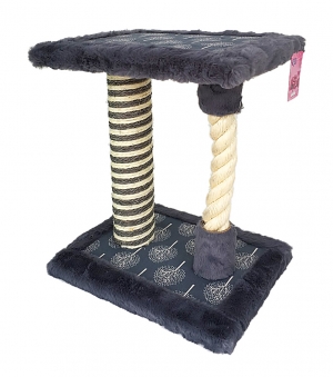 &Omicron;&nu;&upsilon;&chi;&omicron;&delta;&rho;ό&mu;&iota;&omicron; &Gamma;ά&tau;&alpha;&sigmaf;