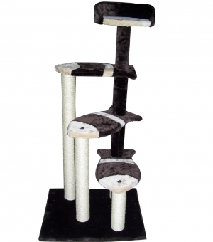 &Omicron;&nu;&upsilon;&chi;&omicron;&delta;&rho;ό&mu;&iota;&omicron; &Gamma;ά&tau;&alpha;&sigmaf;